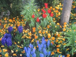 img_0107 img_0107