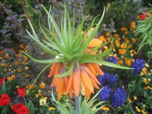 img_0110 img_0110