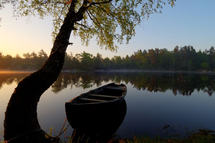 morgon07